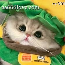 Once Mekel profile picture